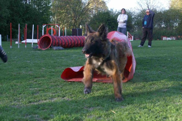 agility 2011-04